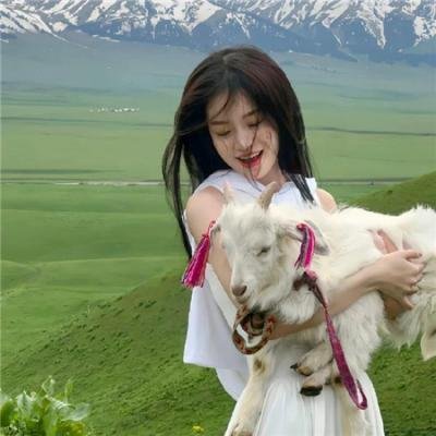 剧场版怪化猫
